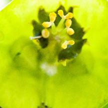 便宜货源哪里的怎么攻击游戏服务器